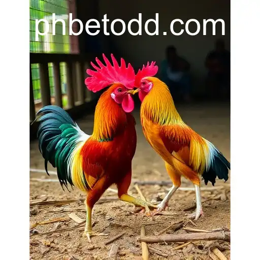 Exploring the Intricacies of Online Sabong and its Connection with Phbet